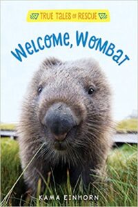 welcome wombat