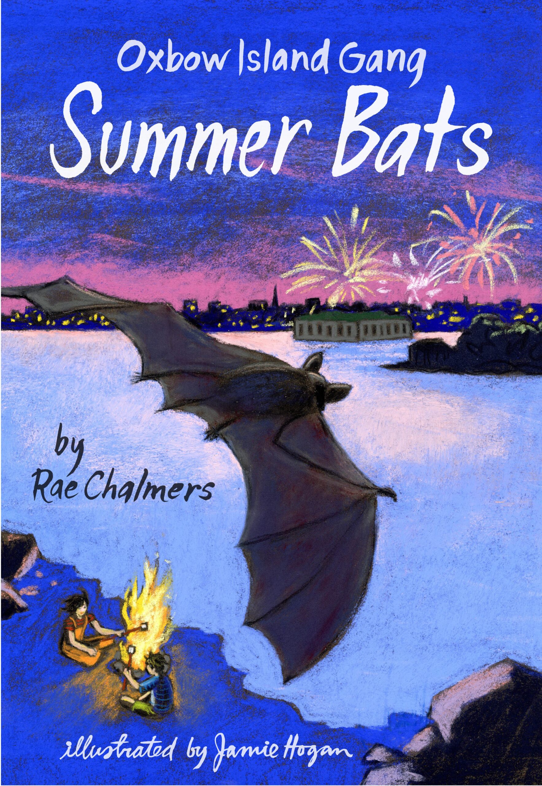 Environmental Mystery for Middle Grade Readers, a guest post by Rae Chalmers